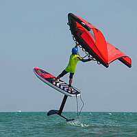 F2 Wing Set