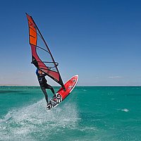 F2 Barracuda 75 2023 Waveboard