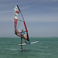 F2 Foil 